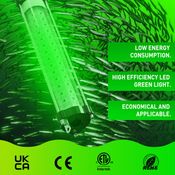 Deep Fishing Lights Farmed Salmon with Dimmer 1000w Led Fishing Light IP68 - Image 3